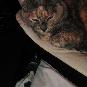 Meet your Posher, Deborah